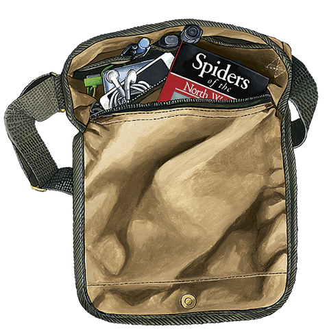 Saganaga Travel Satchel