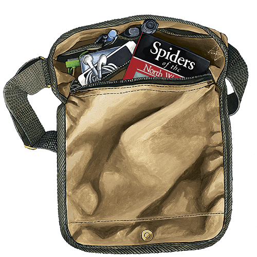 Saganaga Travel Satchel